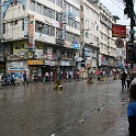 India & Nepal 2011 - 0115